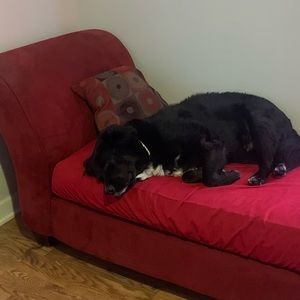 Meet your Posher, Juan